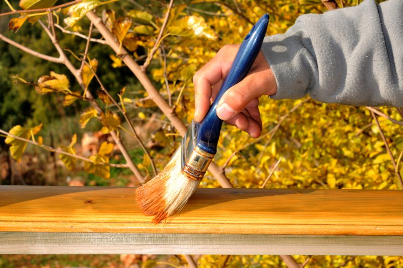 Deck Rail Painting - Deck Rail Painting Lakeville, Minnesota